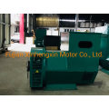 Double Bearing 40kVA 50kVA 85kVA 100kVA 125kVA 200kVA 250kVA Brushless Alternator